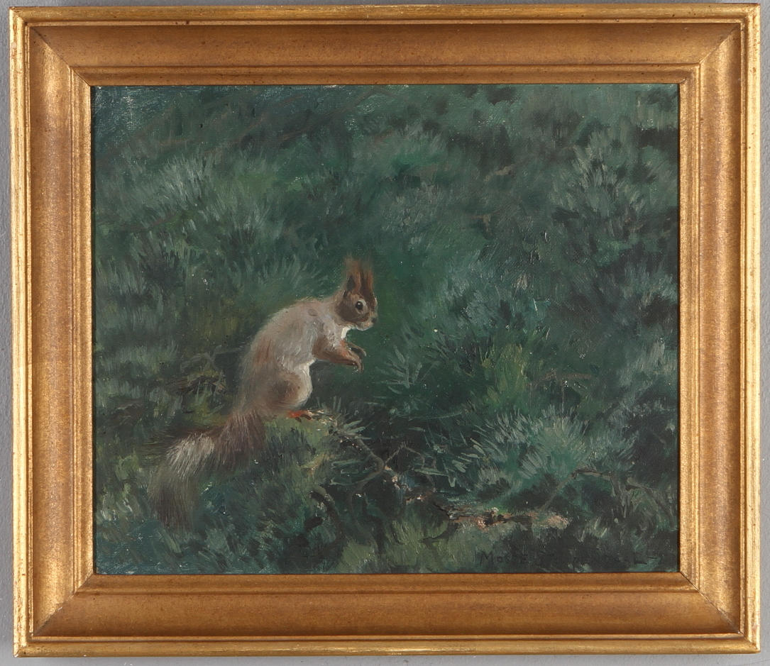 MOSSE STOOPENDAAL. Ekorre, olja på duk, signerad och daterad -23.