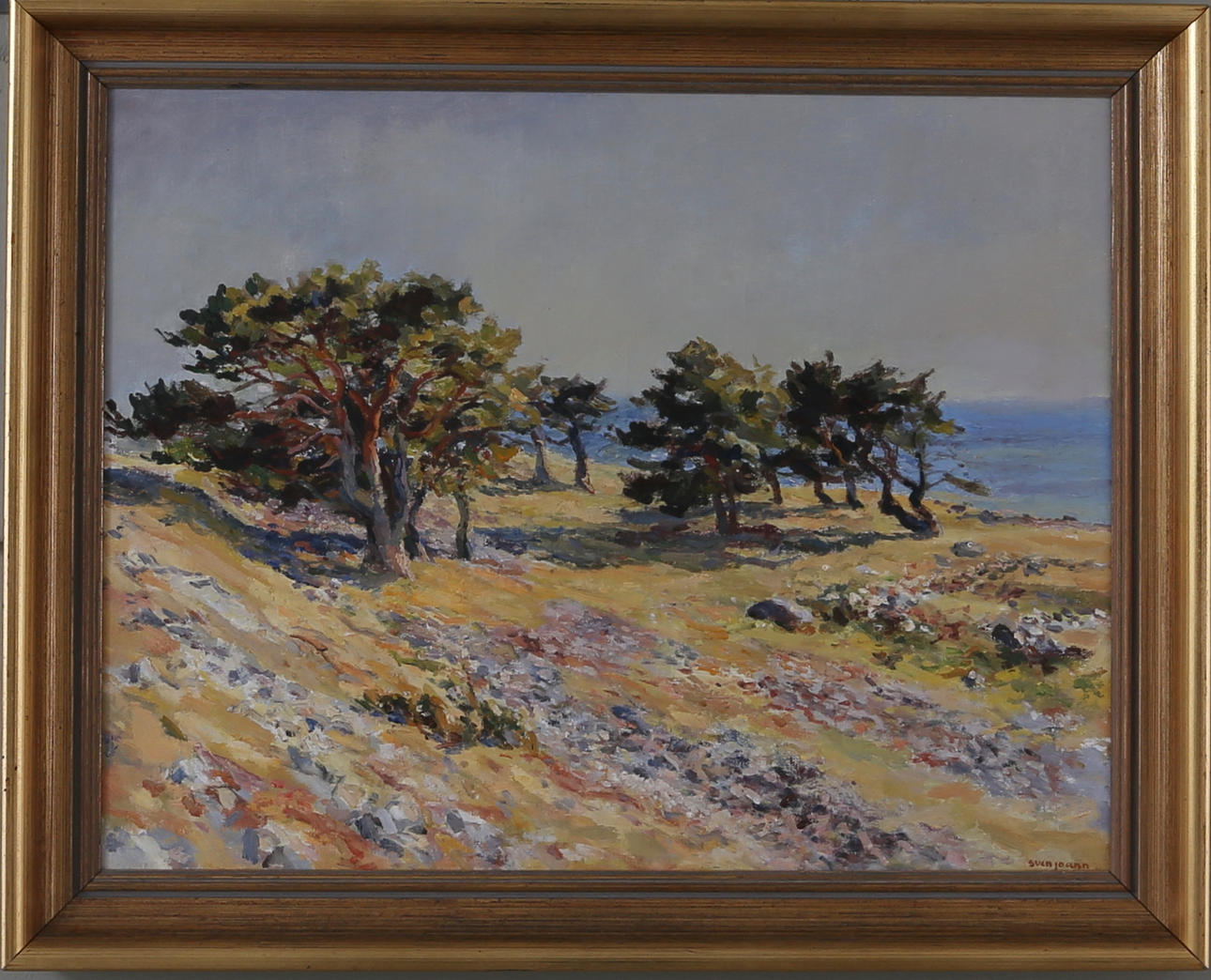 SVEN JOANN. "Talldunge vid havet, Gotland", olja på pannå, signerad samt signerad och daterad a tergo 1973.