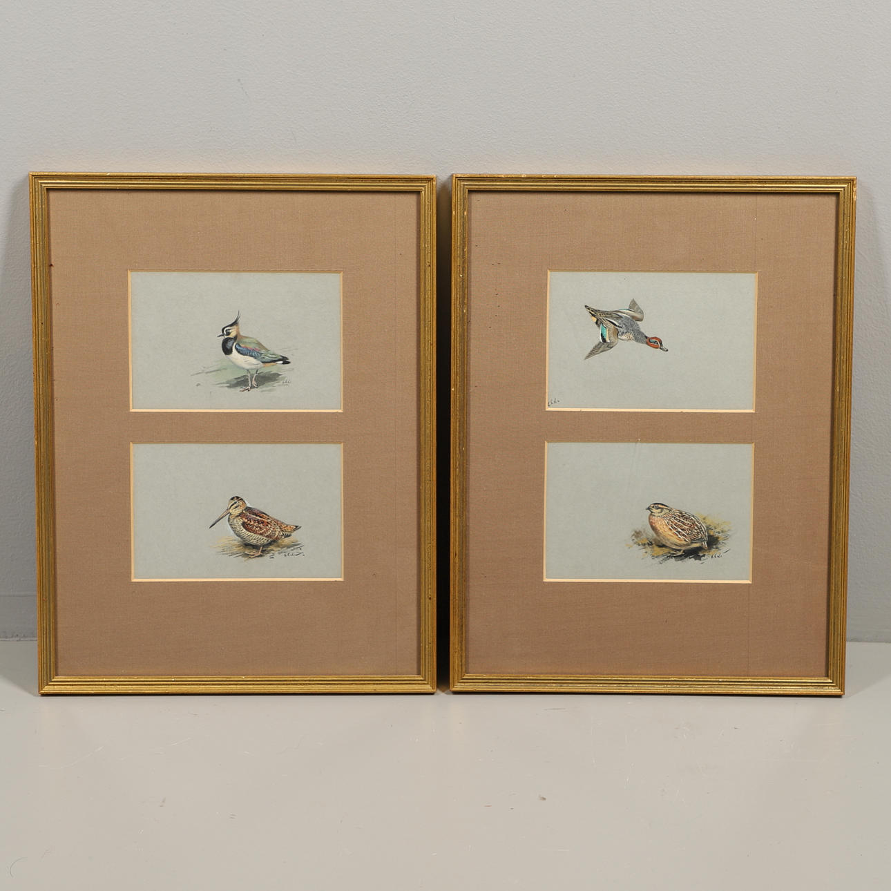 GEORGE EDWARD LODGE (1860-1954). TEAL; QUAIL; LAPWING; WOODCOCK.