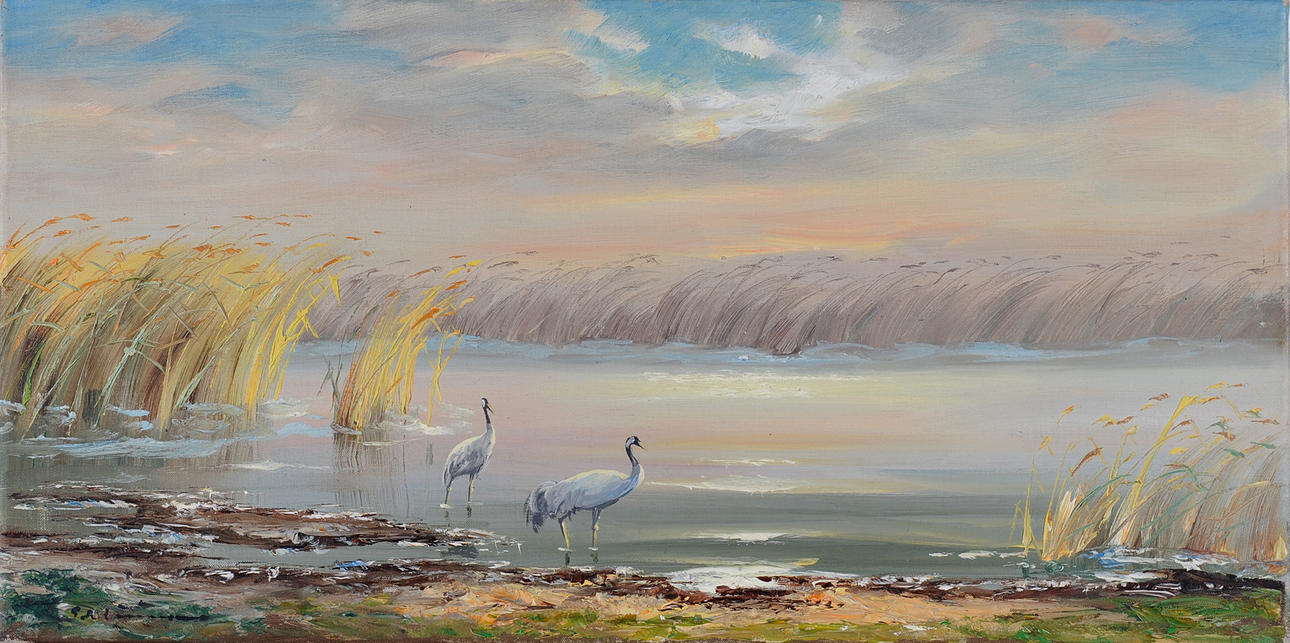 SIGNIERT. Gråhäger i vassen.