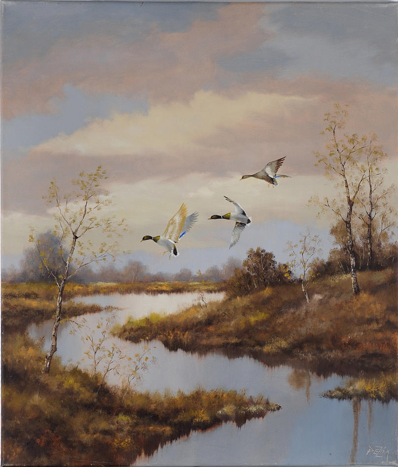 PETER ZIMMERMANN. Gräsand ankor stiger i heden.