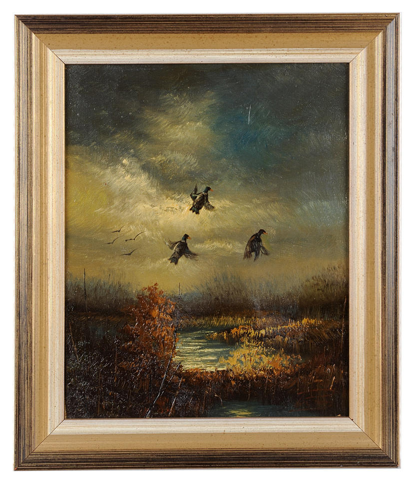 SIGNIERT. Tandem förlorade: Vilda ankor stiger på kvällen heden.