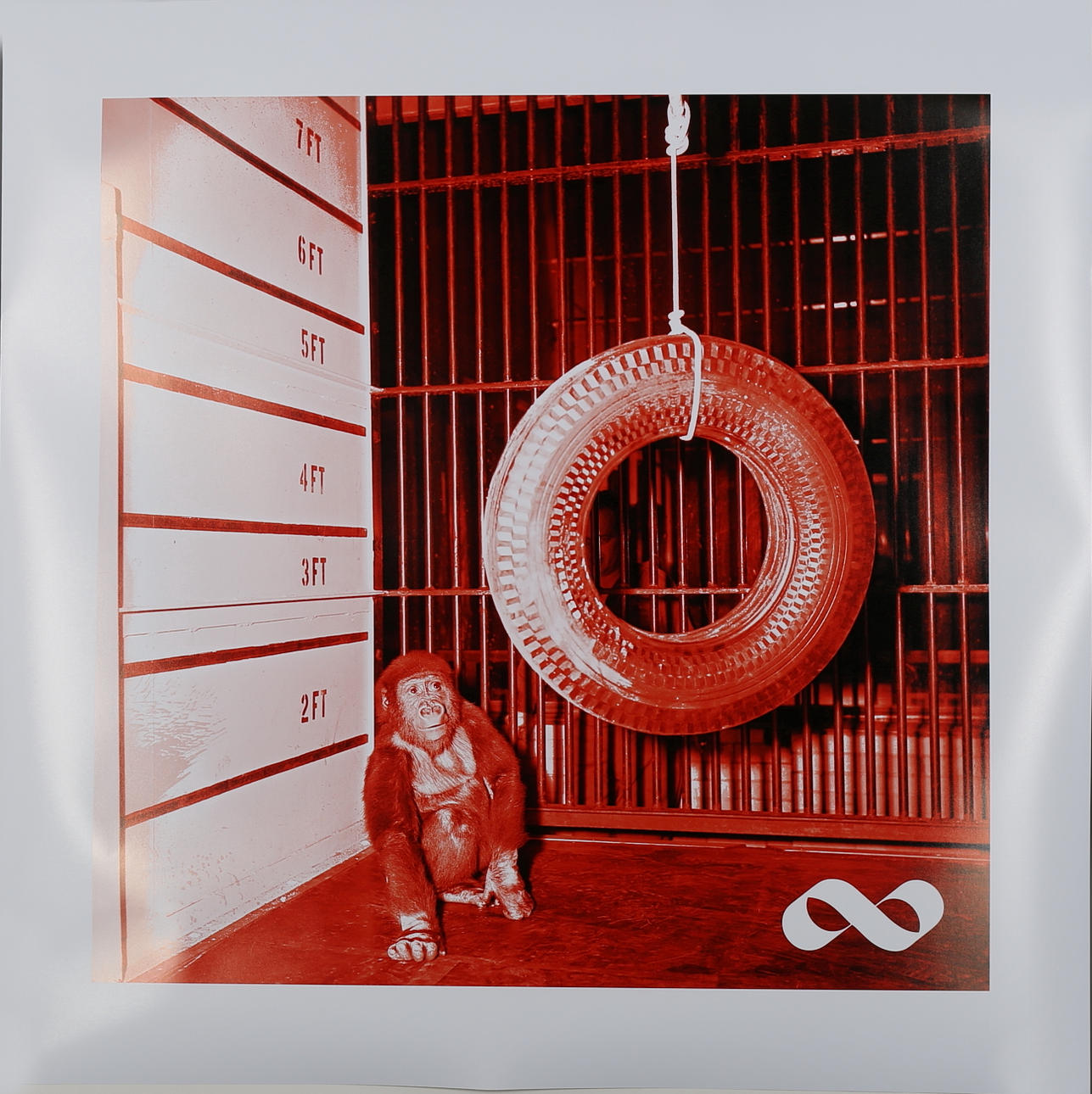 ANNIKA VON HAUSSWOLFF. Eternal Red with Monkey Questioning, konstprint nr 4/150, signerad a tergo.