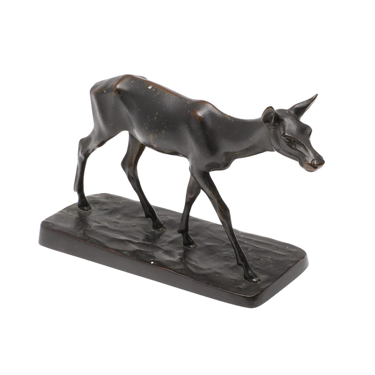 HJORT, KONTINENTALBRONS, 1900-TAL.