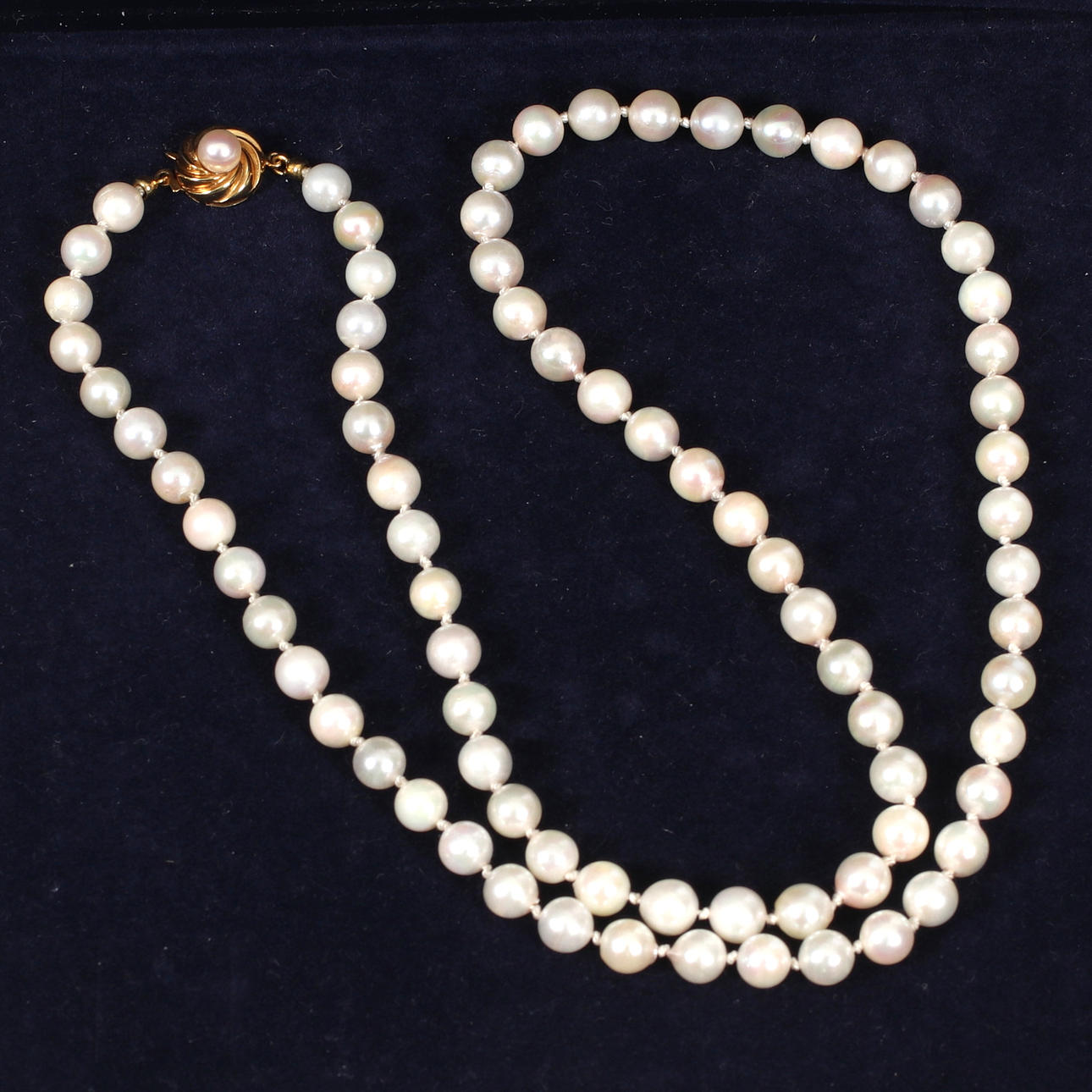 PÄRLCOLLIER, akoyapärlor, lås i 18k guld.