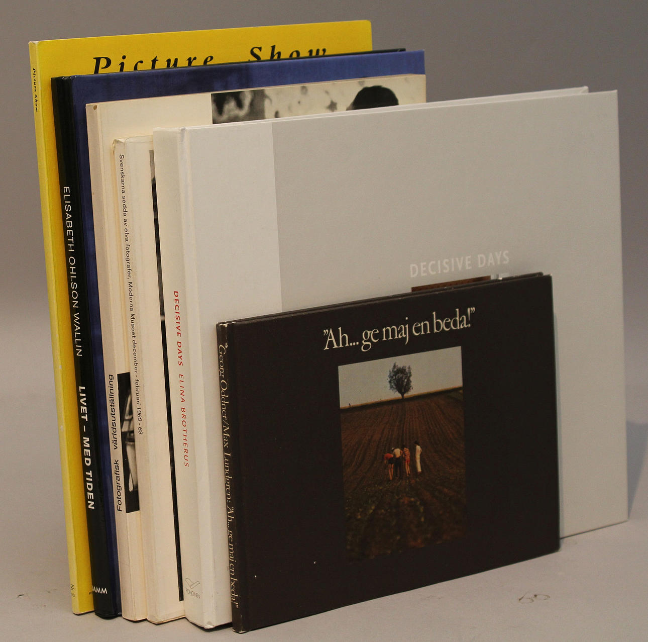 Div fotoböcker (6).