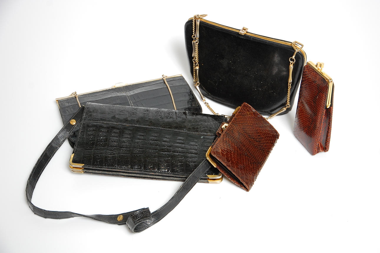 VÄSKOR, GLASÖGONFODRAL, BÖRS, 5 delar, reptil, 1900-talets första hälft.