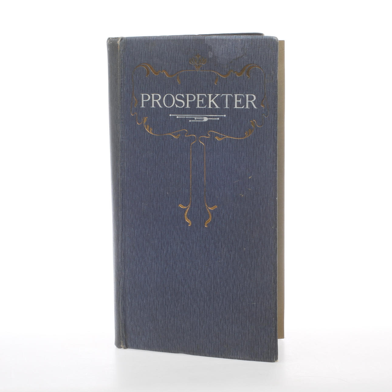 ALBUM MED VYKORT, mestadels Danmark, tidigt 1900-tal.