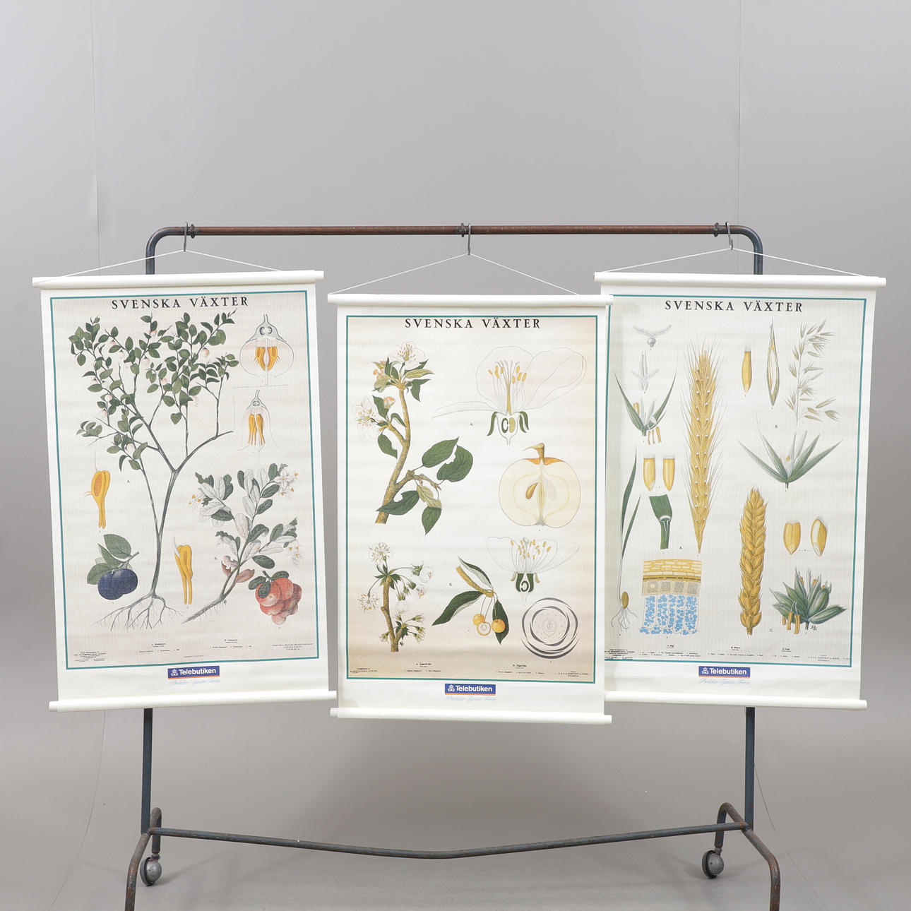 AFFISCHER, 3 st, "Svenska Växter", tryck, Telebutiken.