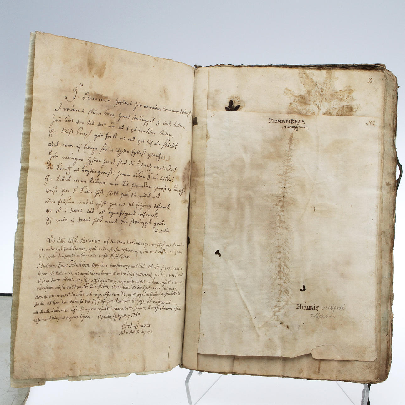 HERBARIUM, "HERBARIOLUM VIVUM", daterat 1745.