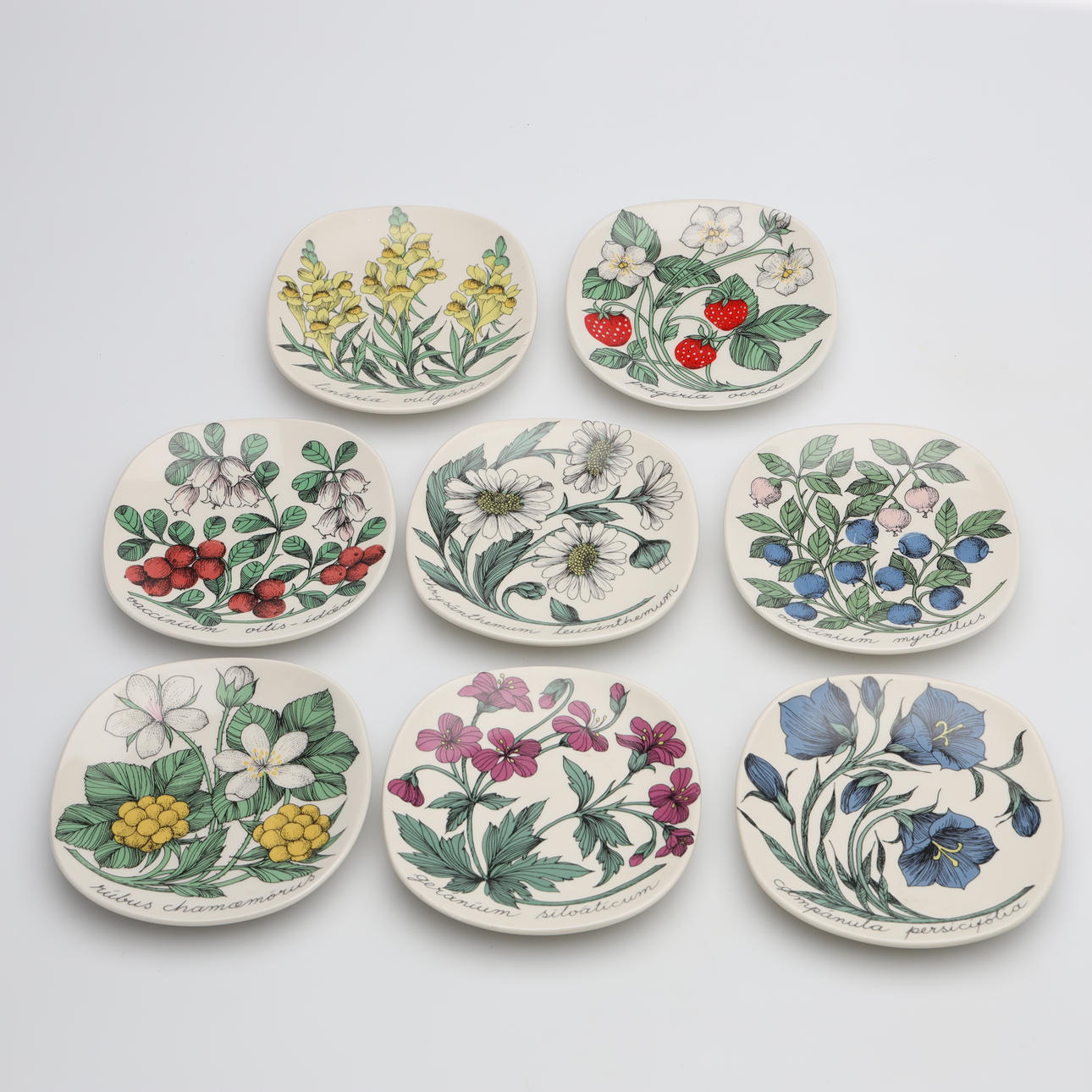 ESTERI TOMULA. SEINÄLAUTASET, 8 kpl, ”Botanica”, Arabia, Suomi.