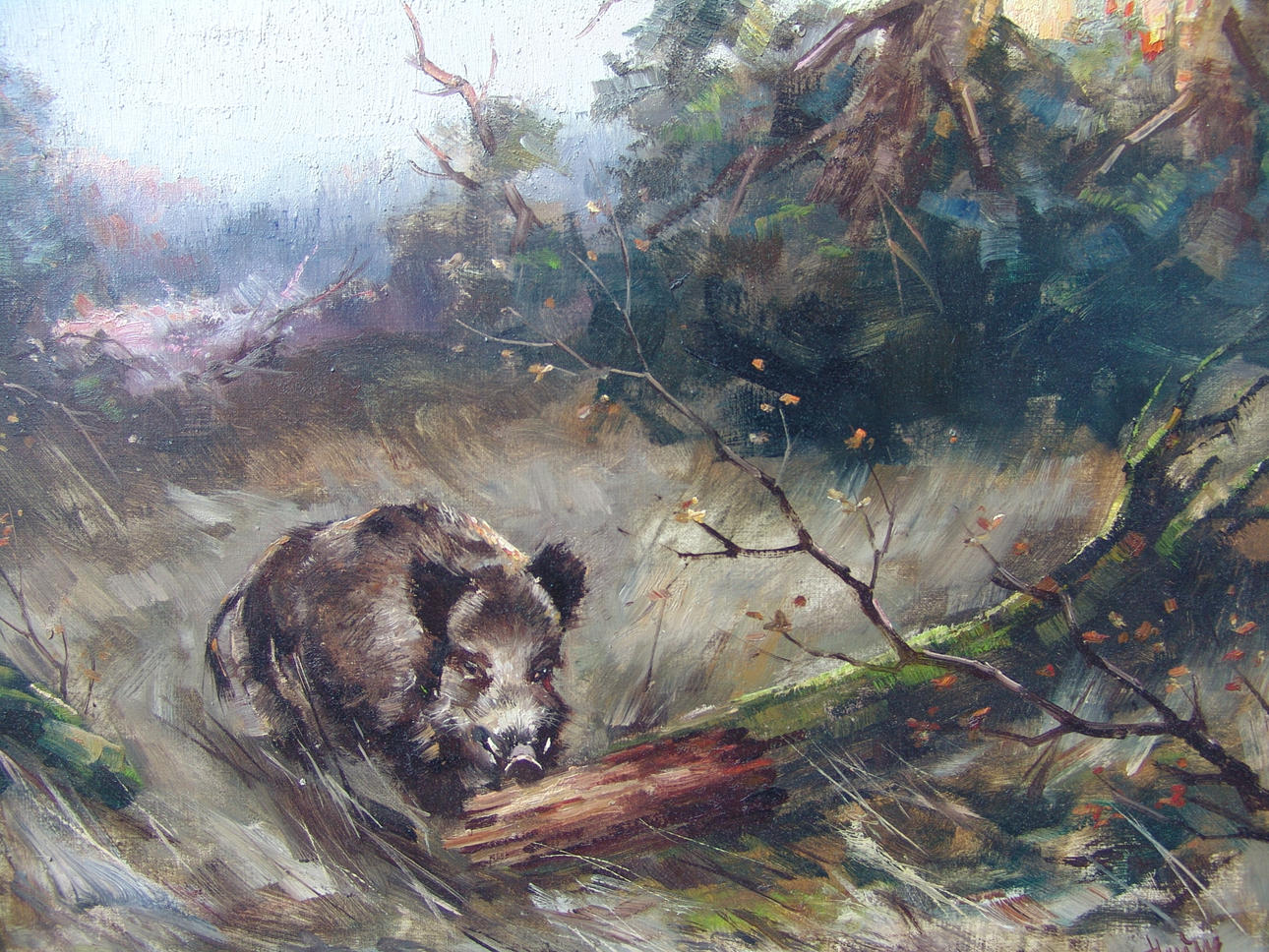 UNBEKANNTER KÜNSTLER. vildsvin i undervegetation.