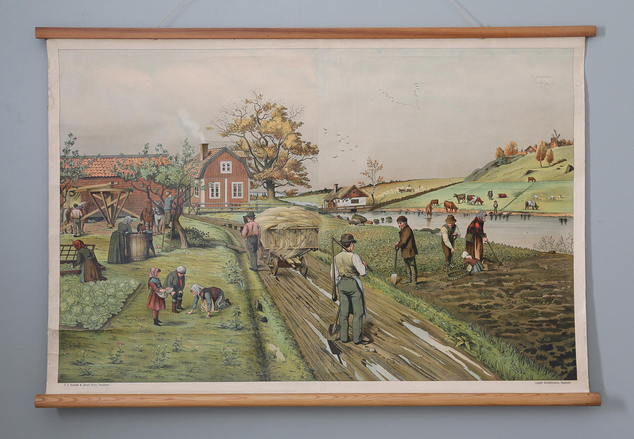 SKOLPLANSCH, P.A. Norstedt & Söners förlag Stockholm, 1900-tal.