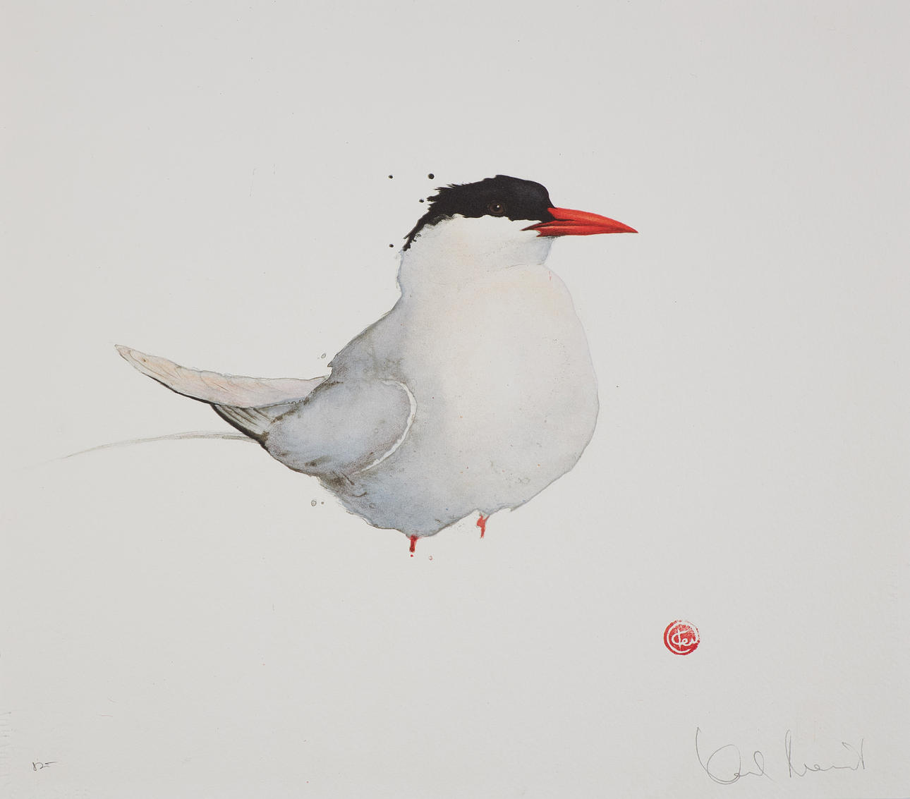 KARL MÅRTENS. “Silver tern”, sample print, signed.