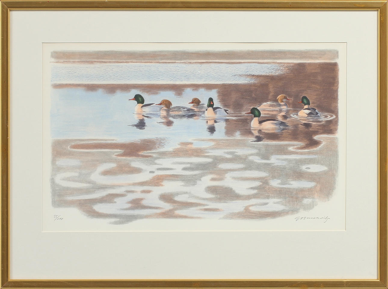 GUNNAR BRUSEWITZ. Fåglar, färglitografi, signerad och numrerad 55/290.