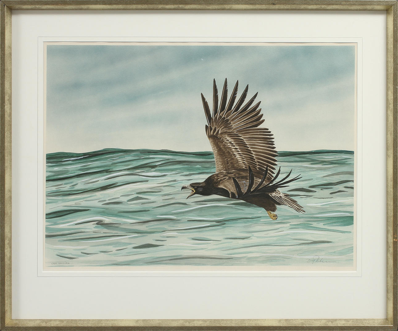 DAG PETERSON. "Ung havsörn", akvarell, signerad.