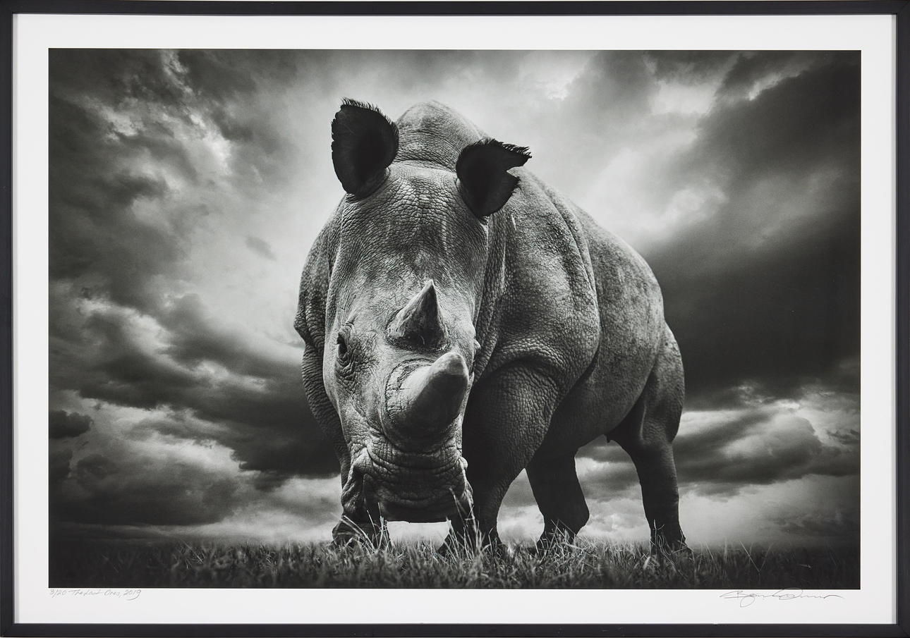 BJÖRN PERSSON. „De sidste“.