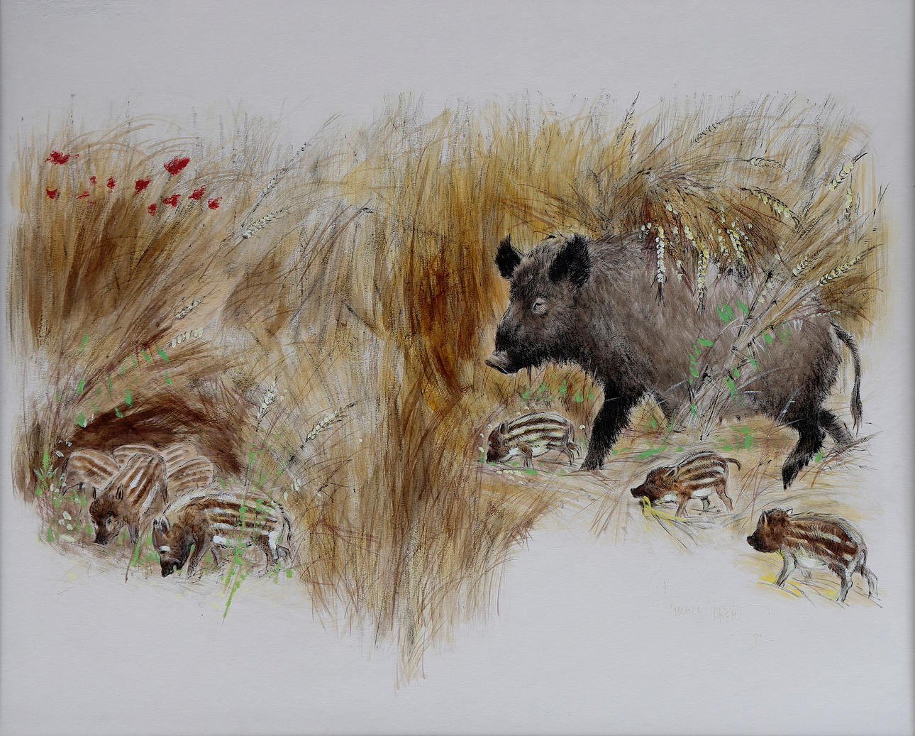 MAURICE PARENT. Vildsvin med jabatos.