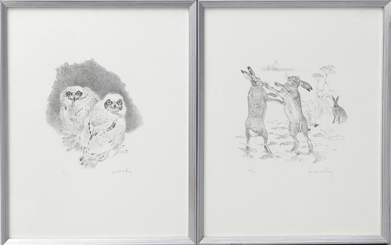 HARALD WIBERG. 2 litografier. Kämpande harar och uggleungar, signerade, numrerade 44/75 samt 49/75.