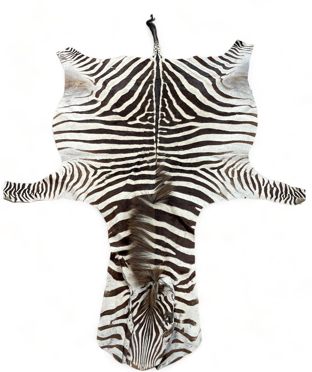 ZEBRASKINN, ca 213 x 137 cm, Afrika.