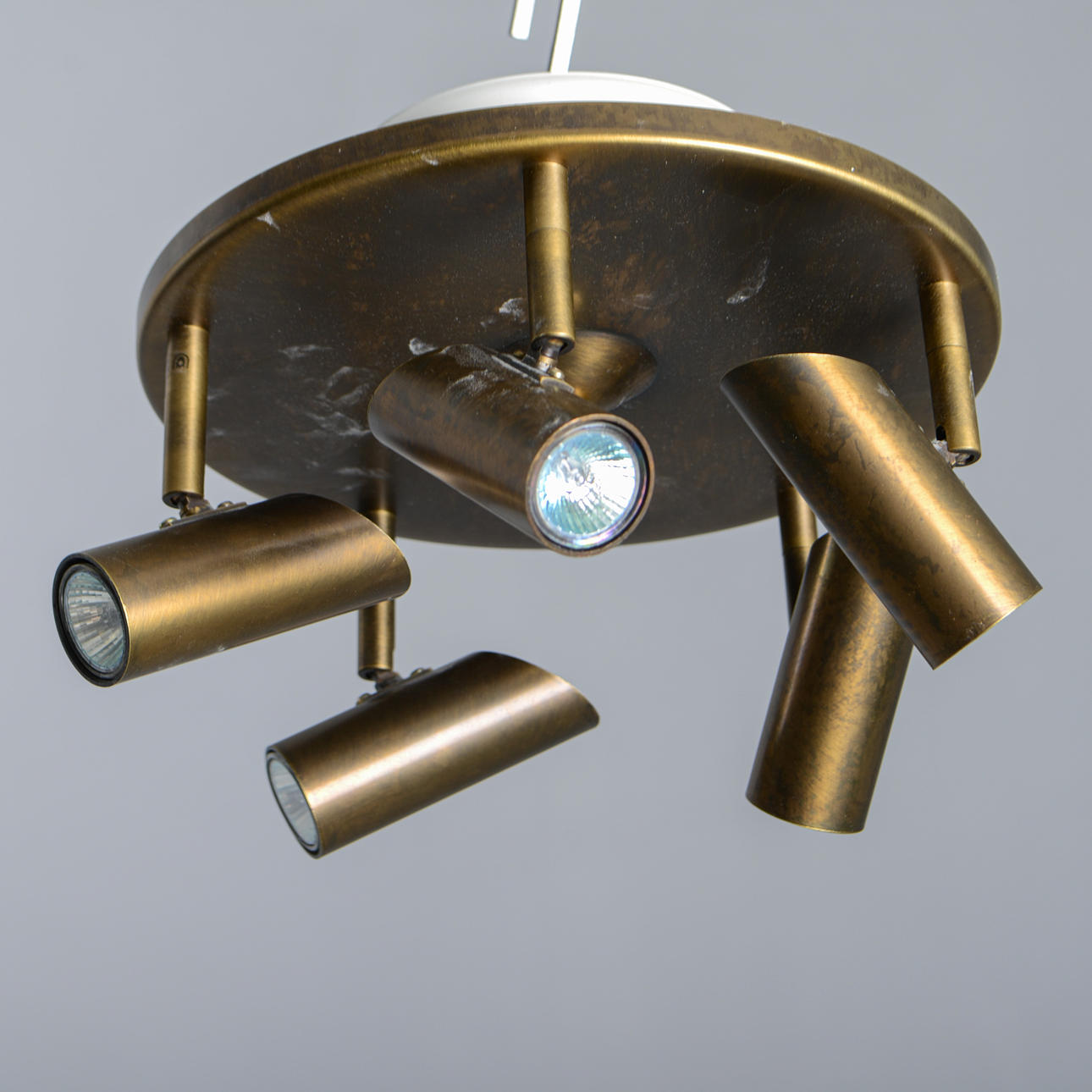 BELID, Cato Takspotlight.