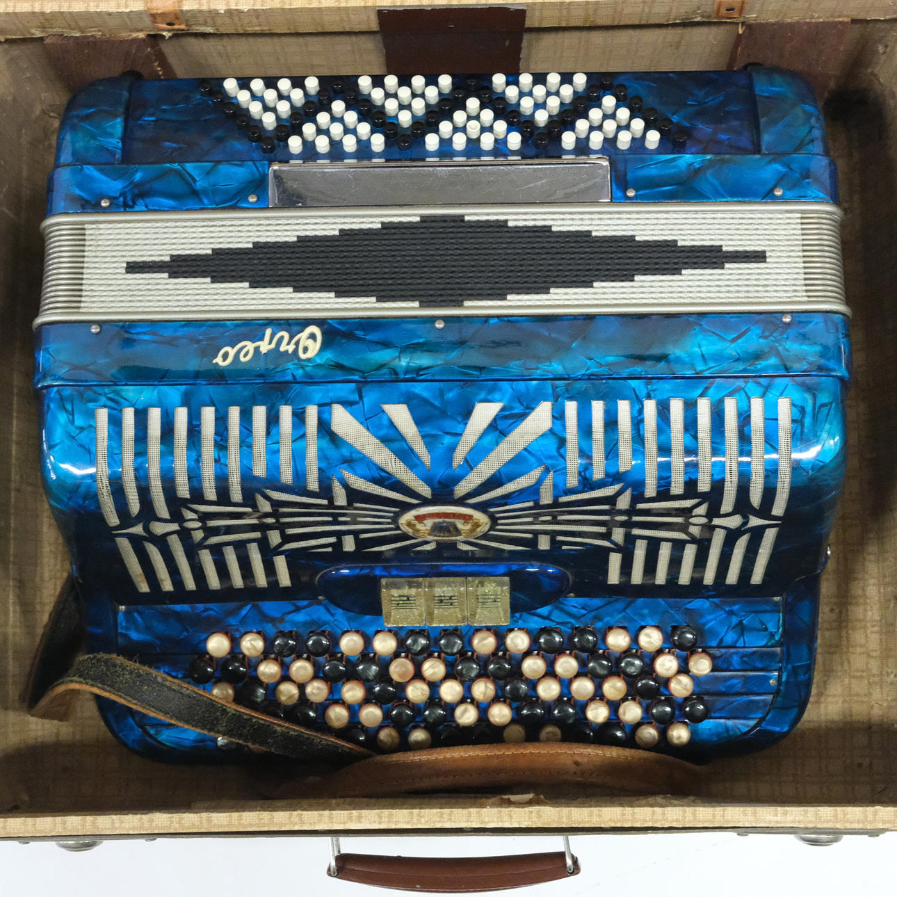 ACORDEÓN EN BOLSA, ITALIA.