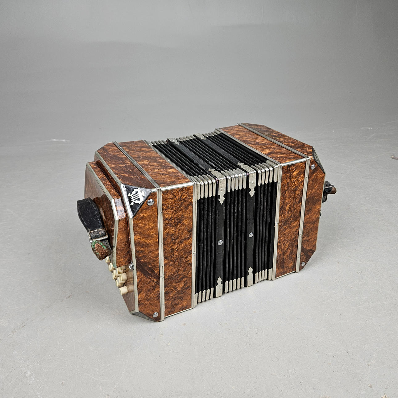 BANDONEON/BANDONICS.