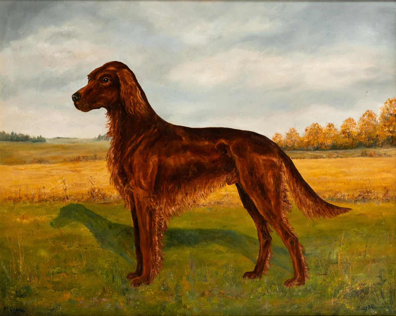 UNBEKANNTER KÜNSTLER. Setter marrón de retrato.