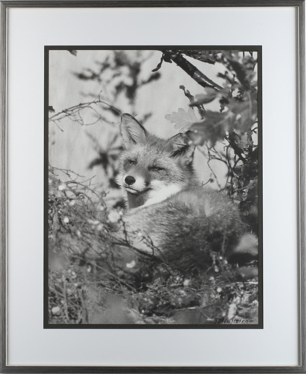 TORD HELLSTRÖM. FOTOGRAFIER, 3 stycken, signerade, 1980-tal.