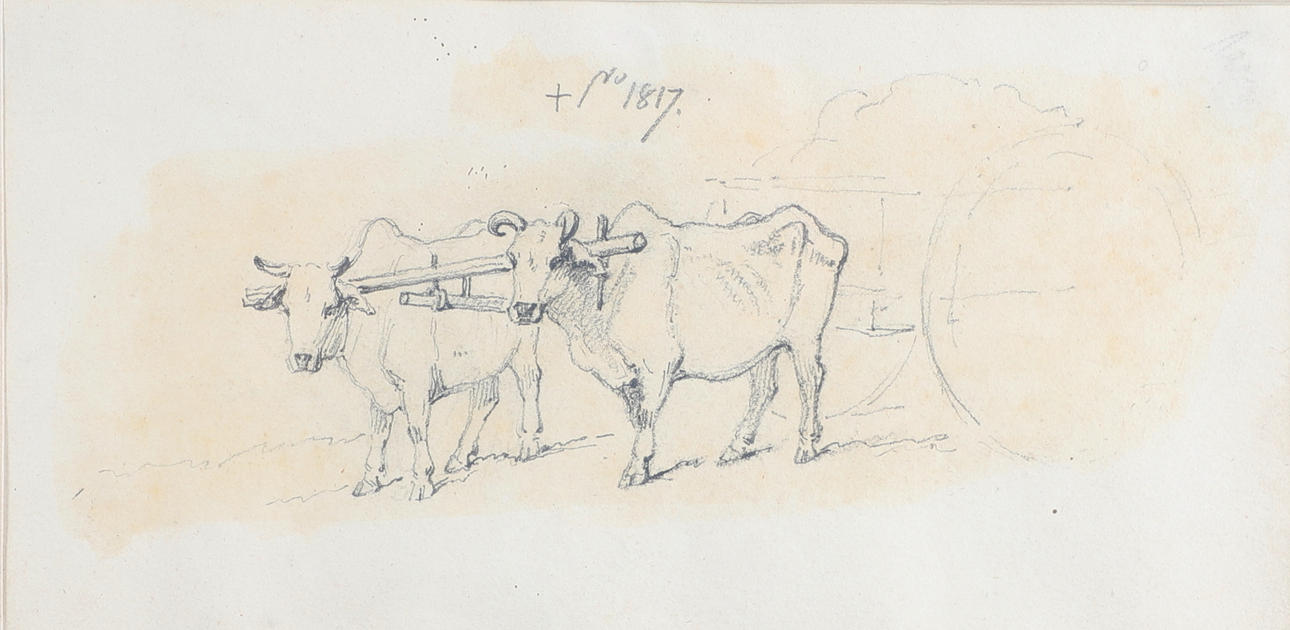GEORGE CHINNERY (1774-1852). OXEN YOKED TO A CART.
