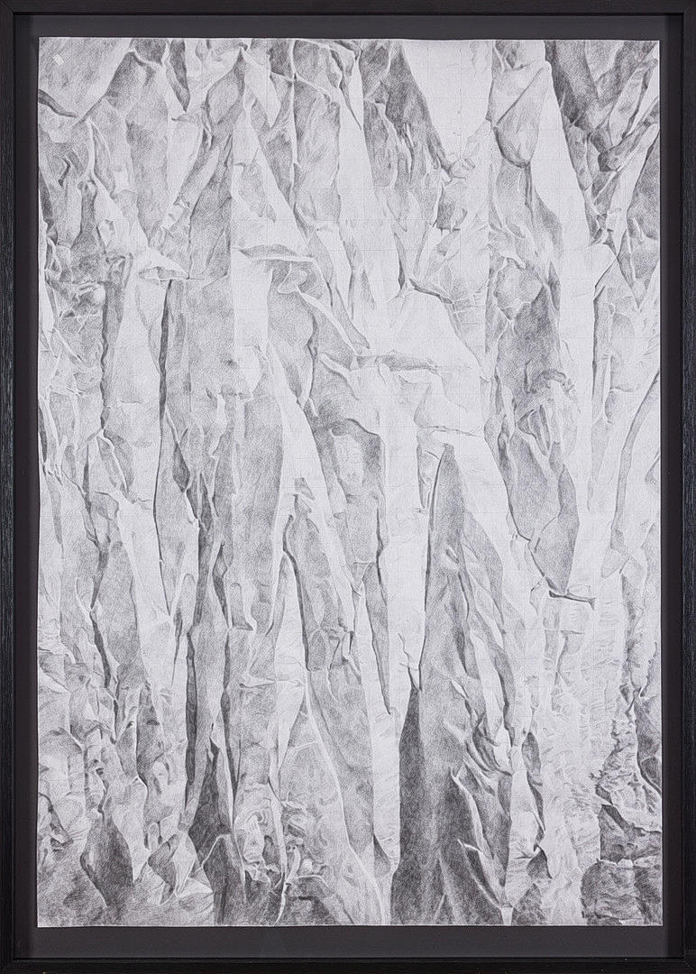 SARA WALLGREN (FÖDD 1981). “The transformation project #2”.