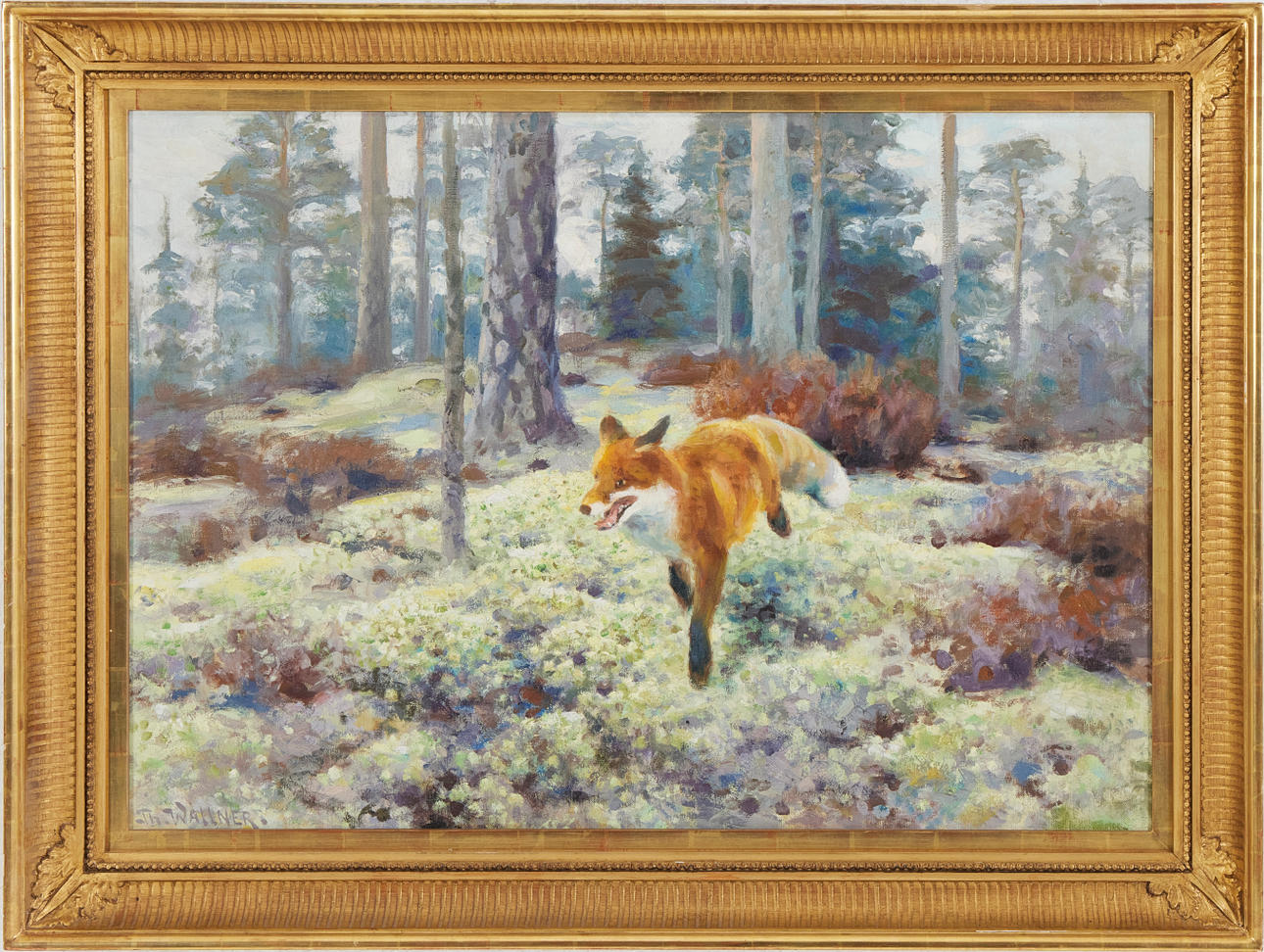 THURE WALLNER. Räv i skogsglänta.