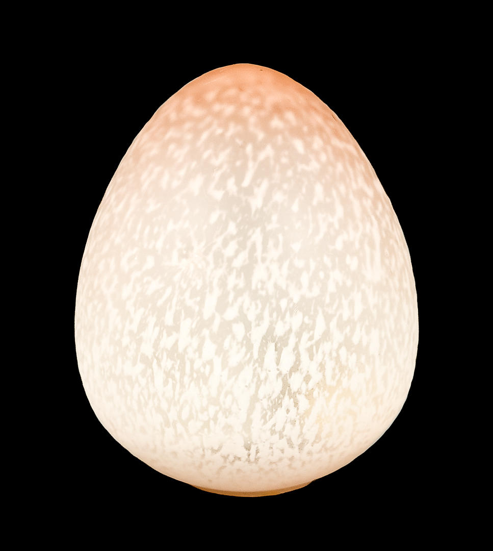 BORDSLAMPA, äggformad glas, Lamp Gustaf.