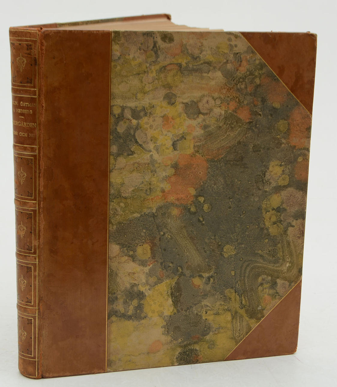 Djurgården past and present/Bolin, Östman & Hedberg.