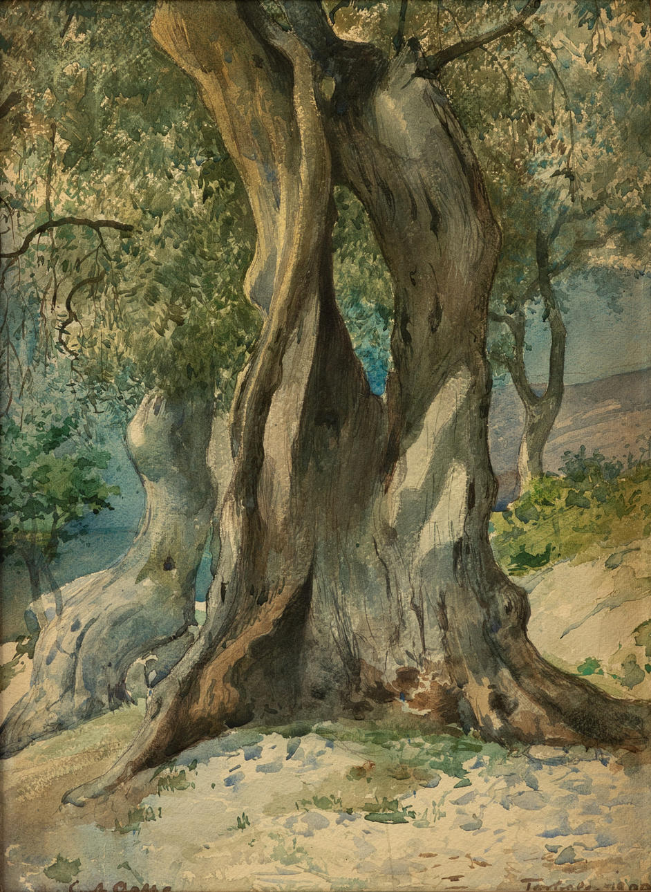 CURTH AGTHE (1862-1943). tree study.