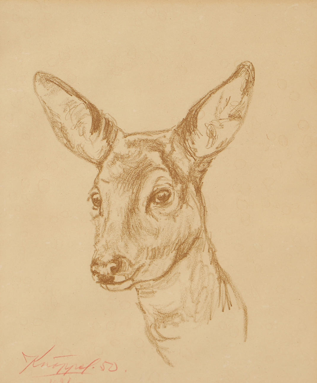 ARVID KNÖPPEL. Hjorte, tegning, signeret -50.