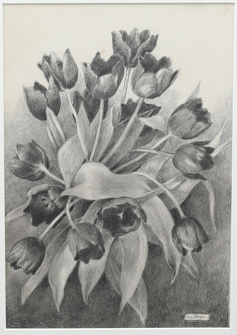 OWE  ZERGE. Tulipanes, lápiz, firmado.