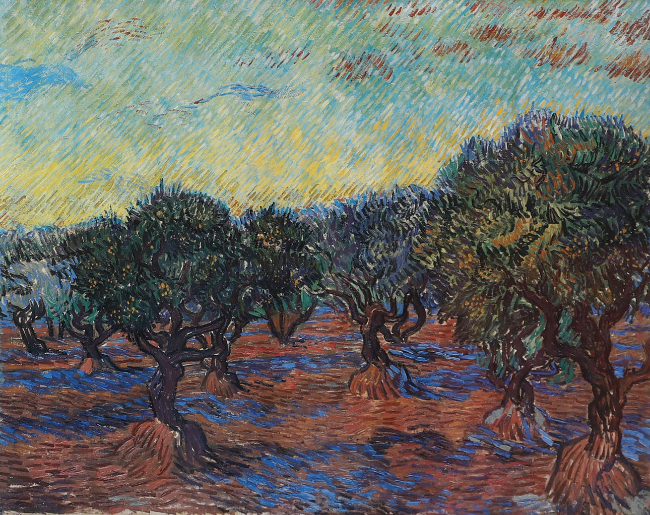 VINCENT VAN GOGH. NACH. Olivenwald, Druck.