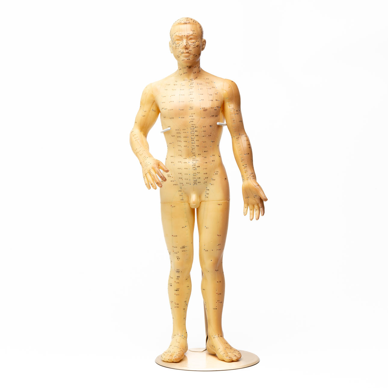 AKUPUNKTUR DUKKE, plast.