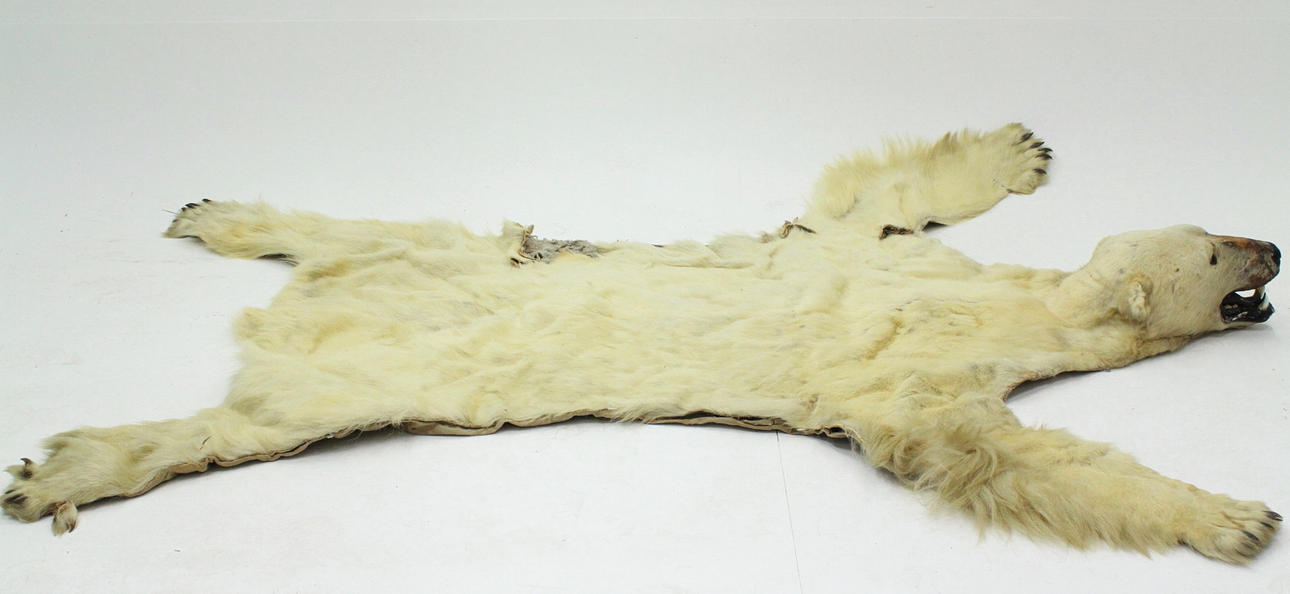 ISBJÖRNSFÄLL, stoppad med canvasundersida.