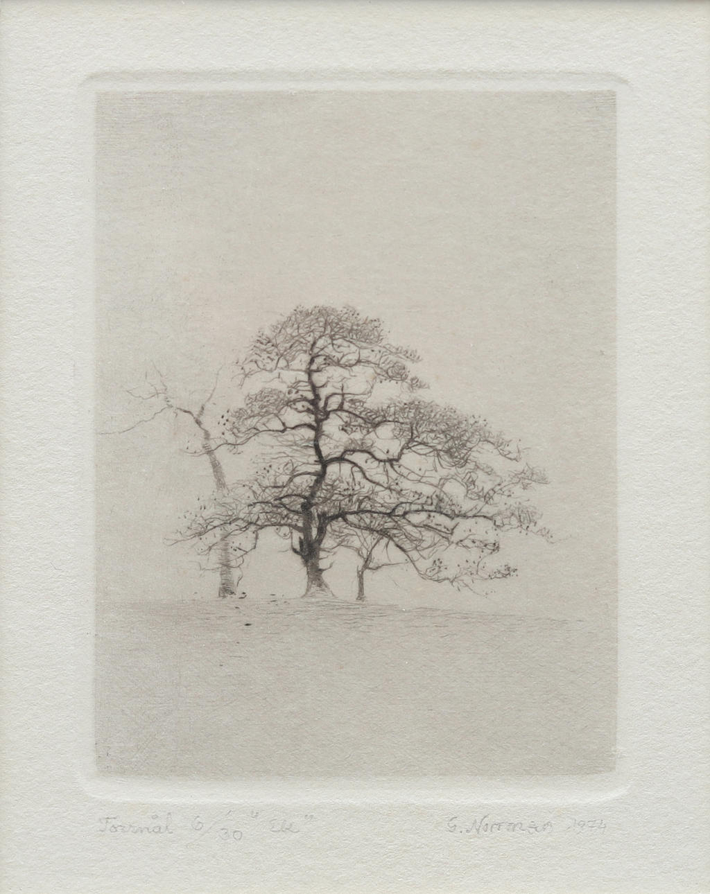 GUNNAR NORRMAN. “Oak”, dry needle no 6/30, signed and dated 1974. Art ...