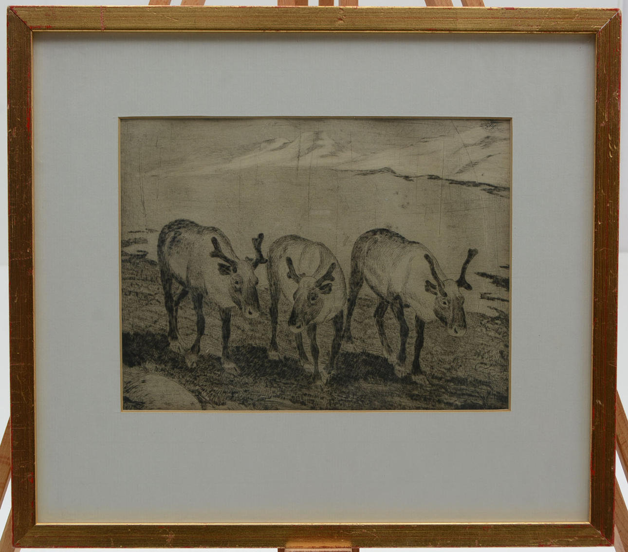 HAVNE, PER. Rensdyr. tegning. Jämtland.