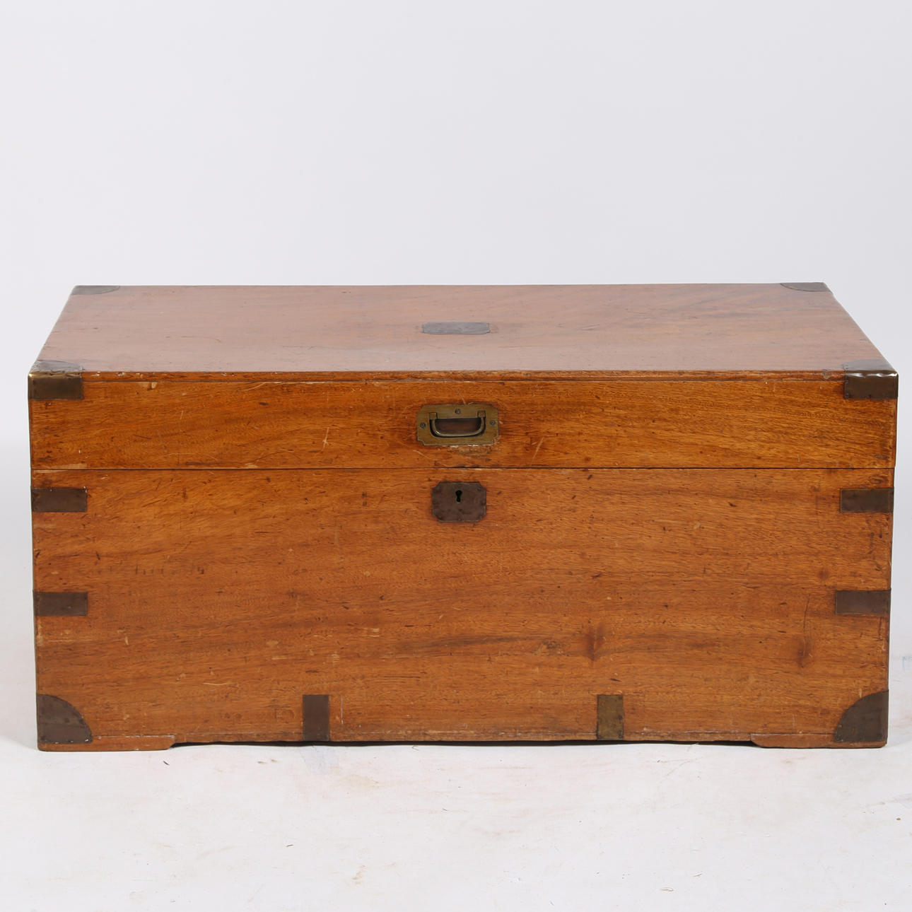 KAMFERIARKKU, KAMFERIPUU, 1800-LUKU.