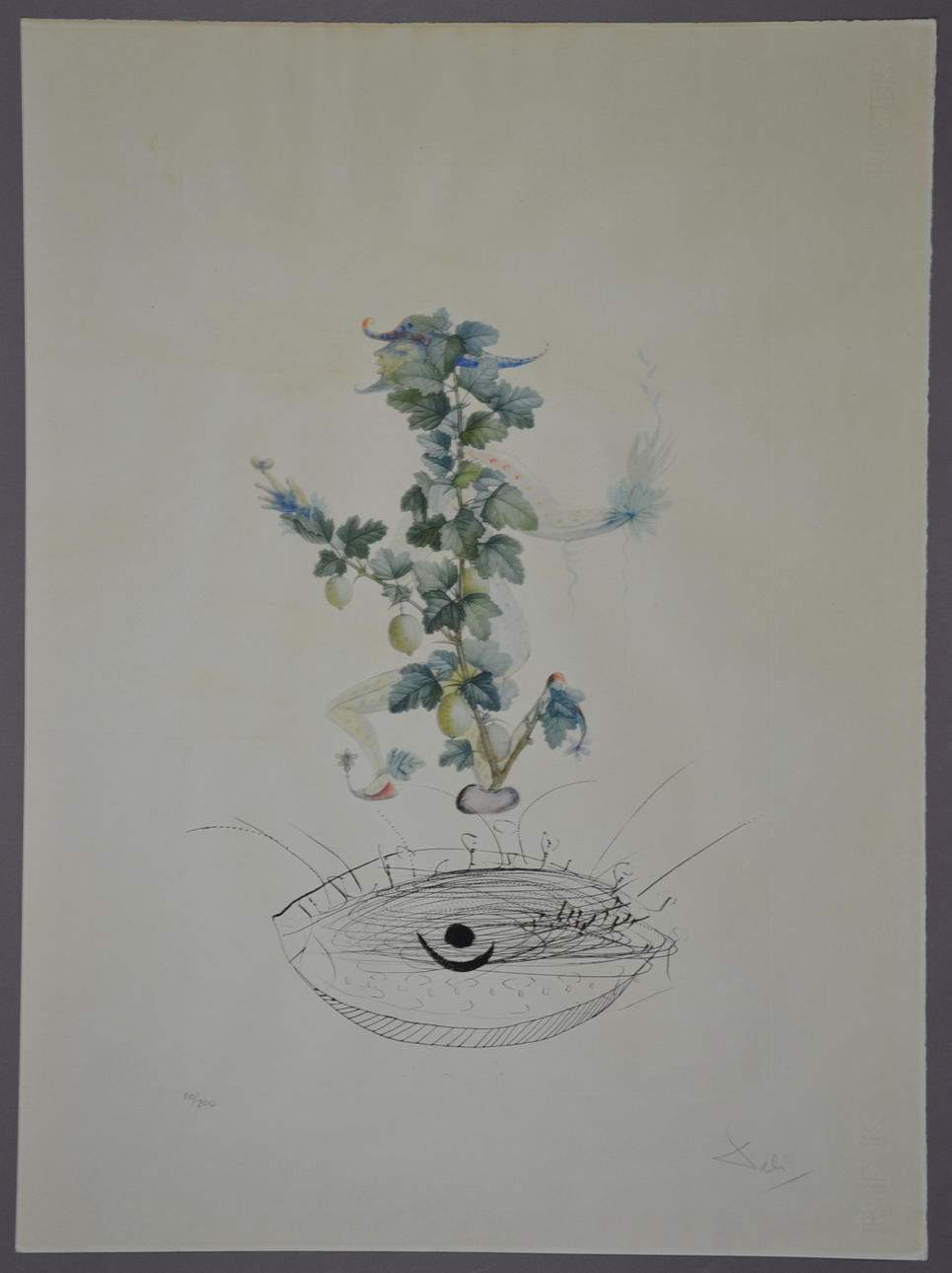 SALVADOR DALI. FLORDALI.