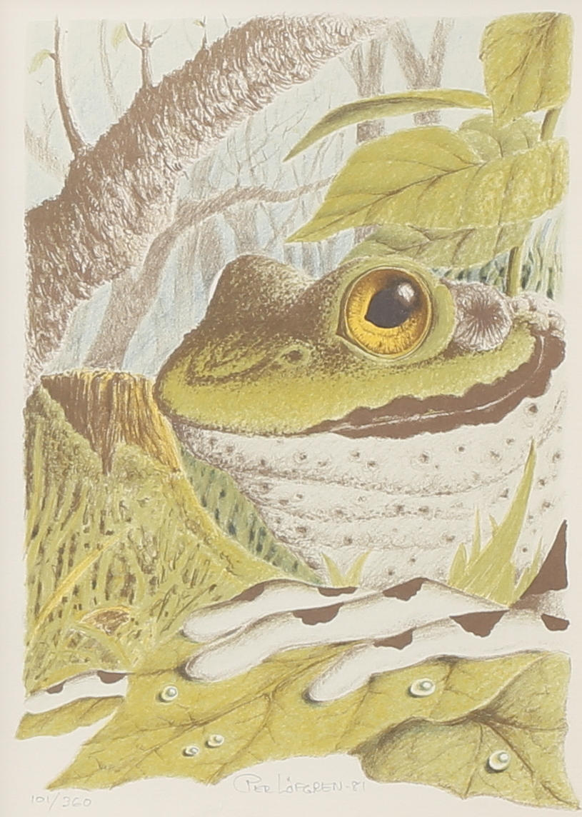 PER LÖFGREN. Litografi, signerad och numrerad 101/360, daterad -81.