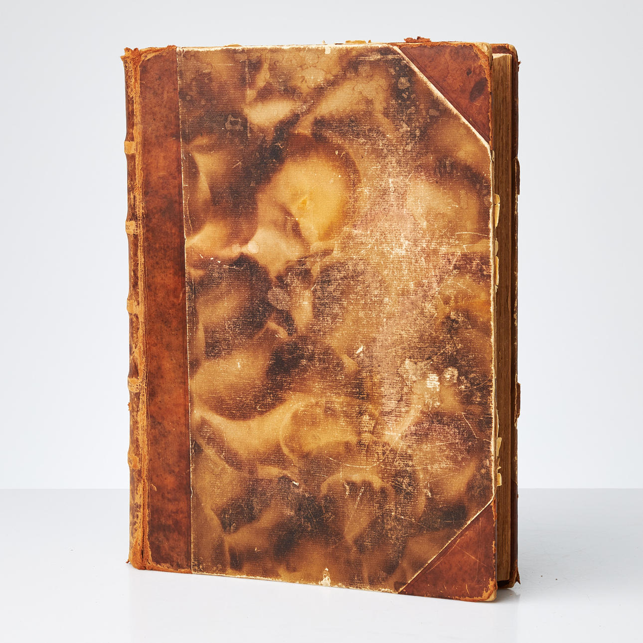 BRØDRENE WRIGHT, SVENSKE FUGLE, 1924, bind 1.