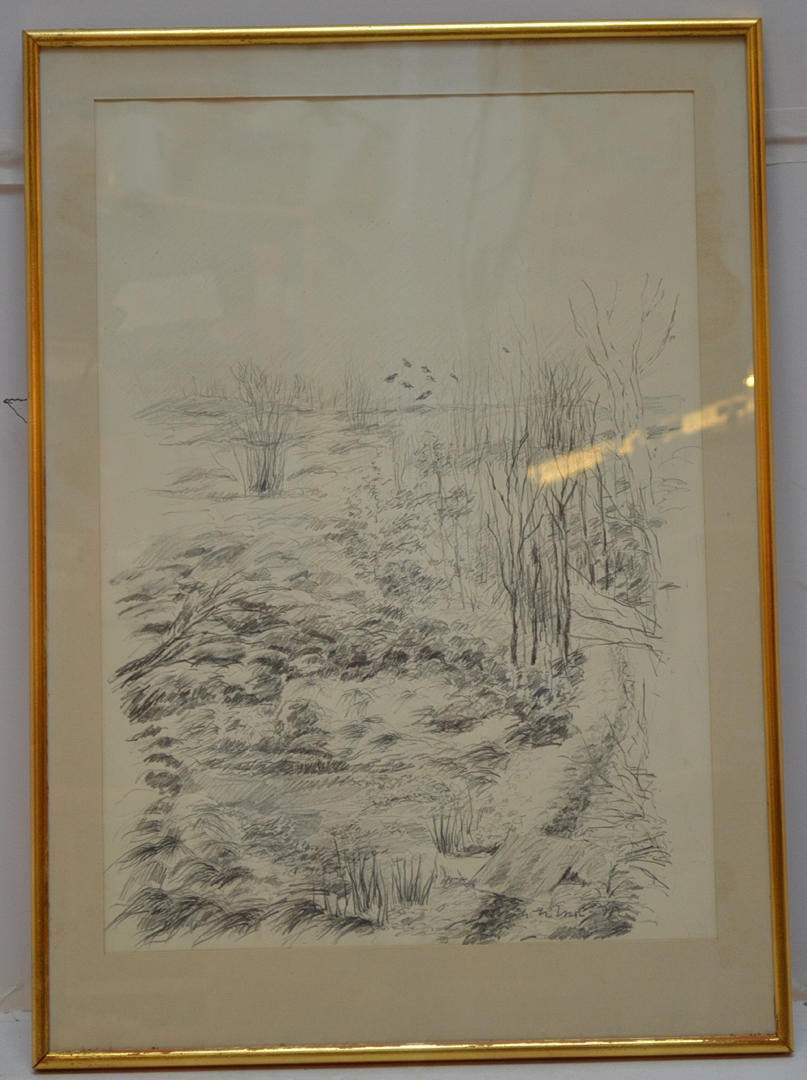 Tegning, krager på lille eg.