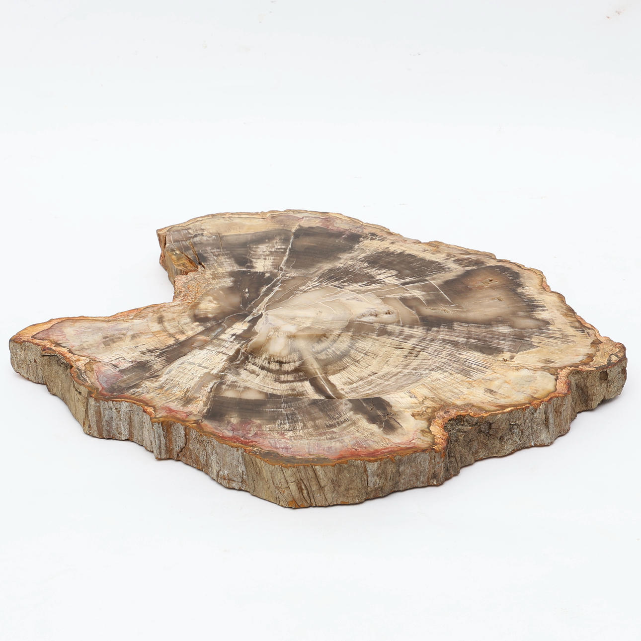 FOSSIILISOITUA PUUTA, kulho.