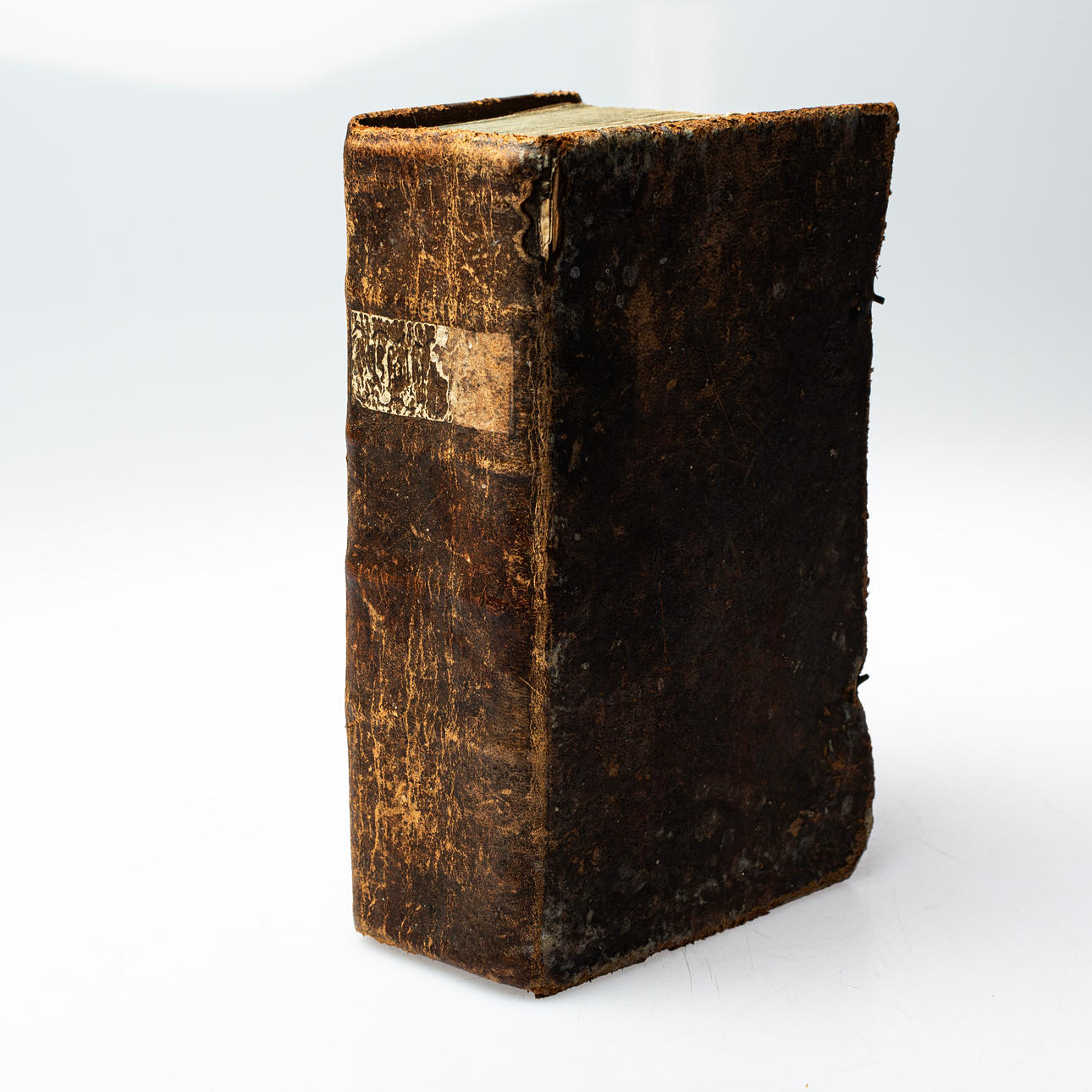 BIBEL, daterad år 1807.