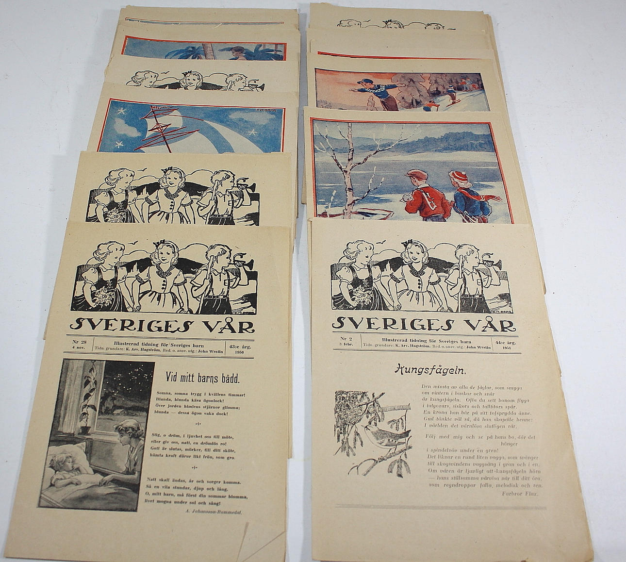 TIDNINGAR, 32 st, Sveriges Vår, 1950-51.